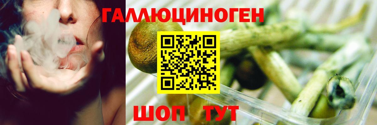 Галлюциногенные грибы GOLDEN TEACHER  Вход с VPN  где можно купить наркотик  Псилоцибиновые грибы Cubensis  Нижнеудинск 